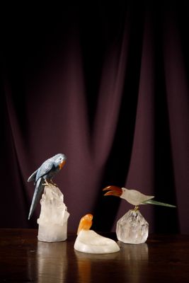 trois oiseaux perchés sur un morceau de glace