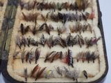 many different types of flies in this case