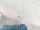 a close up of a silver plate with a blue handle