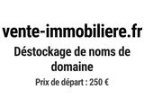 Photo 1/1 du lot