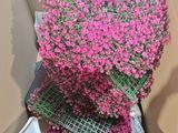 pink flowers in a cardboard box on top of a table