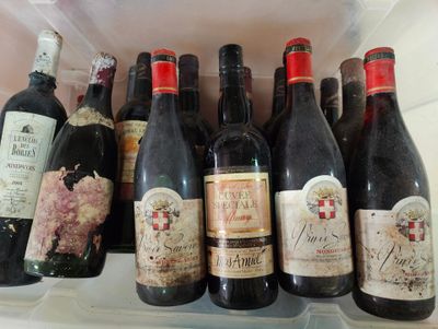 de nombreuses bouteilles de vin posées sur une étagère dans un réfrigérateur
