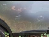 a car that is parked in the grass with a person looking out the window