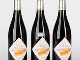 trois bouteilles de vin sont alignées sur une surface blanche