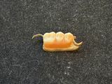 a small piece of food that is sitting on the ground