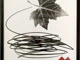 l'image d'une photo représentant une feuille sur laquelle figure une croix rouge