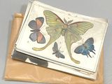 a picture of a picture of a butterfly on top of a piece of paper
