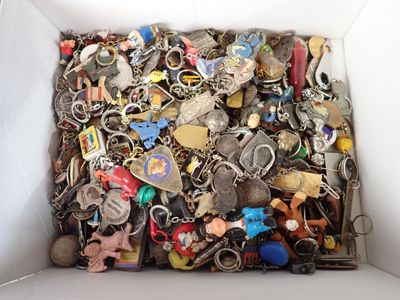 une boîte blanche remplie d'une multitude de porte-clés assortis