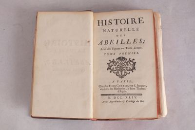 un vieux livre ouvert pour montrer le titre d'un roman