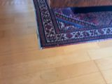 a cat that is sitting on a rug in the living room