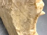 an image of a sculpture of a piece of stone with writing on it
