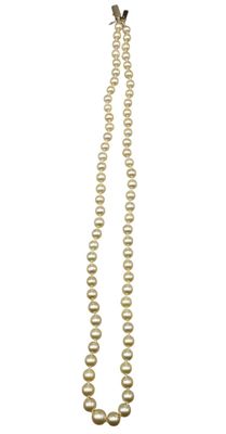 a close up of a long pearl necklace on a white background