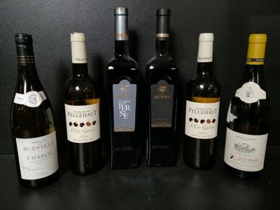 Lot de 6 bouteilles de vin blanc dont : Château de Berne Côt… - Photo 1