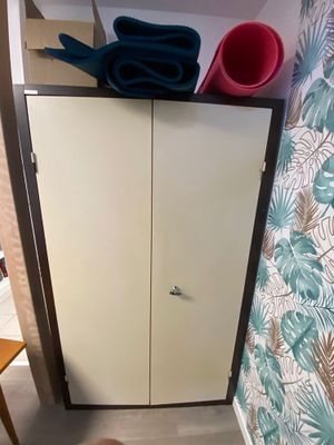 a cat that is sitting on the floor next to a cabinet