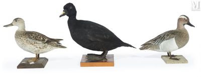three ducks that are standing on a wooden stand