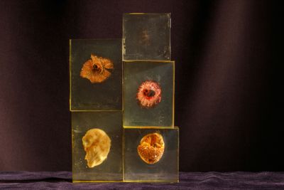 un vase en verre avec une fleur à l'intérieur sur une table