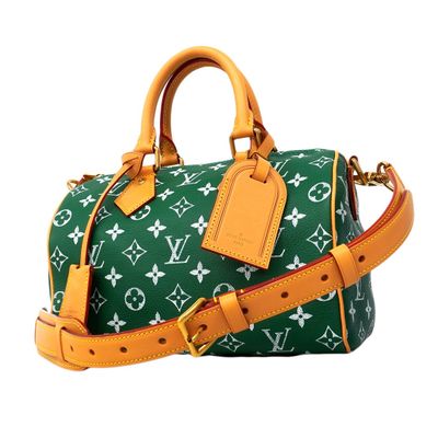 louis vuitton speedy bag in green and white