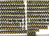many green beetles on display in a white box