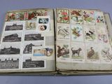 an open book with pictures of animals and flowers on it