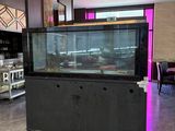 un aquarium posé au milieu d'une grande pièce