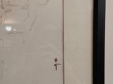 a picture of a drawing on the wall of a room