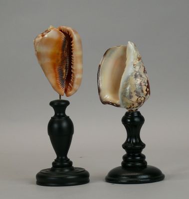 pair of black candlesticks with a shell on top of them