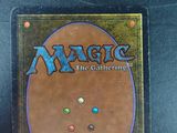the back cover of a magic the gathering card game