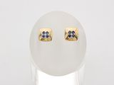 a close up of a pair of earrings on a white surface