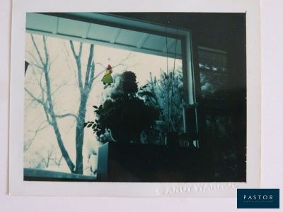 une photo d'une photo représentant un oiseau perché sur un rebord de fenêtre