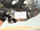 a skull with a tag on it sitting on a shelf