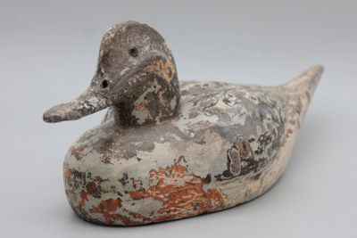 un canard perché sur un morceau de bois