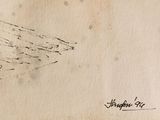 a drawing of a bird sitting on top of a piece of paper