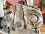 a sculpture of a fish on display in a room