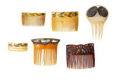 différents types de peignes à cheveux sur fond blanc