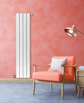 Radiateur eau chaude vertical PRODIGE Novaflo blanc, 1000W H…