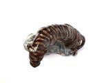 a zebra figurine sitting on a rock on a white surface