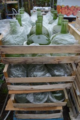 many bottles of green juice in a wooden crate