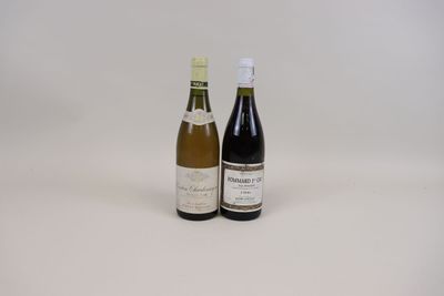 deux bouteilles de vin posées l'une à côté de l'autre sur une surface blanche