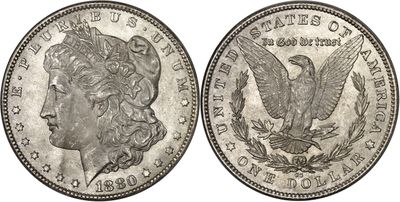 a close up of two silver morgan dollars on a white background