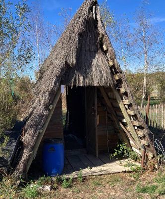 une petite cabane au toit de chaume dans les bois