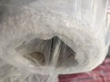 a close up of a plastic bag with a stuffed animal inside of it