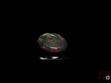 a black oplite in the dark with a black background