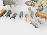 a lot of different animals that are in the shape of a circle