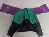 an image of a purple and green jacket hanging on a wall