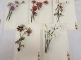 quatre types de fleurs différents présentés sur des cartes posées sur une table