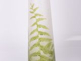 un vase en verre contenant une plante