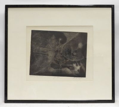 an image of a black and white photo of a cat