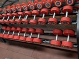 a large rack with red dumbs in a gym