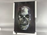 a picture of a painting of a skull hanging on a wall
