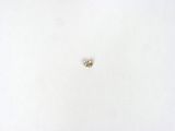 l'image d'un diamant isolé sur fond blanc